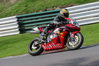 brands-hatch-photographs;brands-no-limits-trackday;cadwell-trackday-photographs;enduro-digital-images;event-digital-images;eventdigitalimages;no-limits-trackdays;peter-wileman-photography;racing-digital-images;trackday-digital-images;trackday-photos